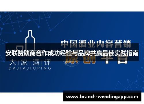 安联赞助商合作成功经验与品牌共赢最佳实践指南