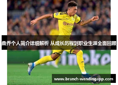 桑乔个人简介详细解析 从成长历程到职业生涯全面回顾