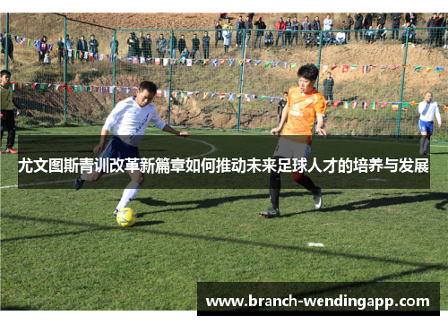 尤文图斯青训改革新篇章如何推动未来足球人才的培养与发展