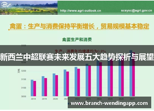 新西兰中超联赛未来发展五大趋势探析与展望